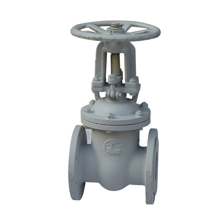 The standard gate valves Z41H-16C